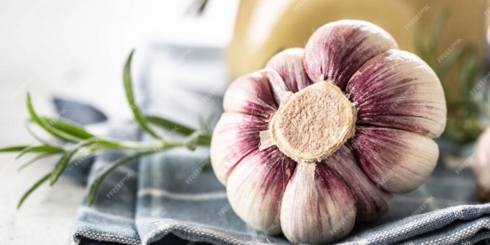 Você conhece os benefícios do alho? - Temperos Prático